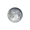 Vollmond mit Horizont