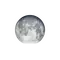 Vollmond mit Horizont