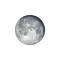 Vollmond mit Horizont
