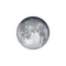 Vollmond mit Horizont