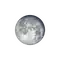 Vollmond mit Horizont